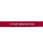 Flex Ruler 12" Red Notes